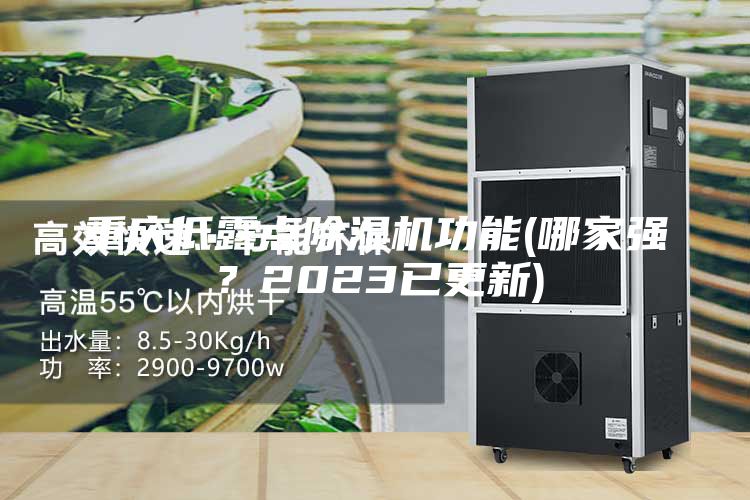 重慶低露點除濕機功能(哪家強？2023已更新)