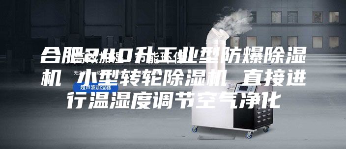 合肥240升工業(yè)型防爆除濕機 小型轉輪除濕機 直接進行溫濕度調節(jié)空氣凈化