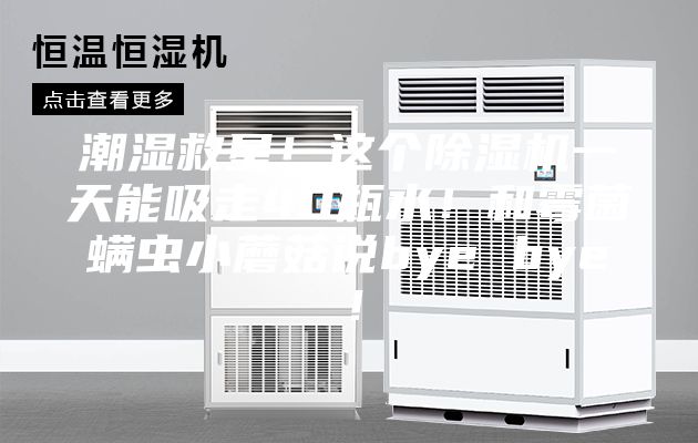 潮濕救星！這個除濕機一天能吸走40瓶水！和霉菌螨蟲小蘑菇說bye bye！