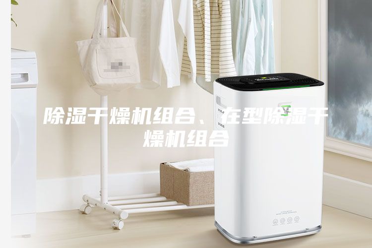 除濕干燥機(jī)組合、在型除濕干燥機(jī)組合