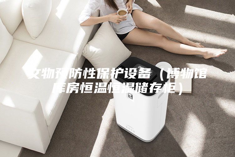 文物預(yù)防性保護設(shè)備（博物館庫房恒溫恒濕儲存柜）
