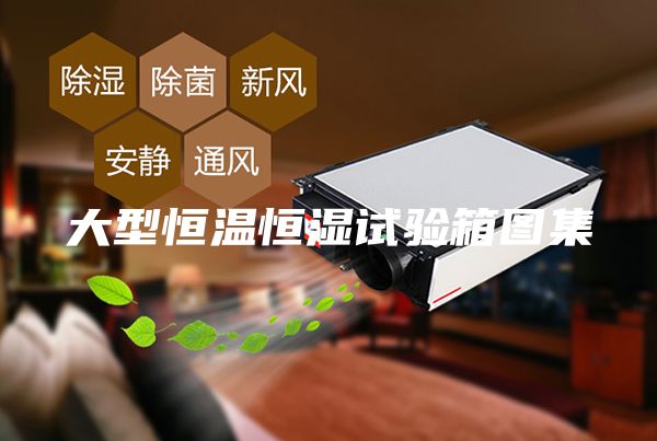 大型恒溫恒濕試驗(yàn)箱圖集