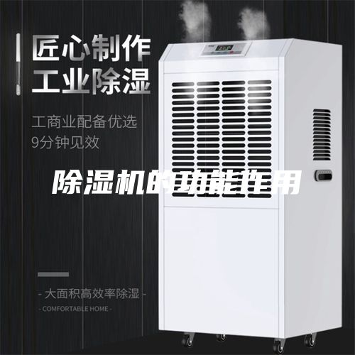 除濕機(jī)的功能作用