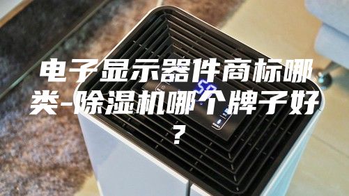 電子顯示器件商標哪類-除濕機哪個牌子好？