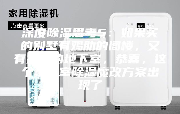深度除濕思考5：如果買的別墅有雞肋的閣樓，又有操心的地下室，恭喜，這個(gè)地下室除濕魔改方案出現(xiàn)了