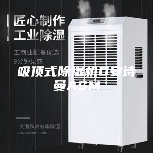吸頂式除濕機(jī)D安詩曼ASM