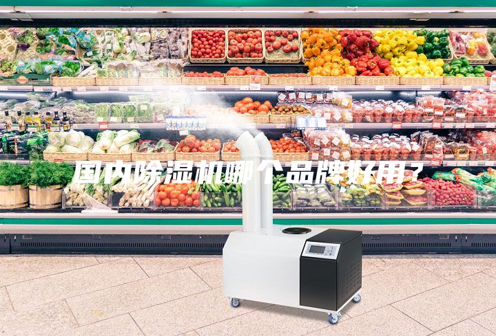 國內(nèi)除濕機(jī)哪個品牌好用？