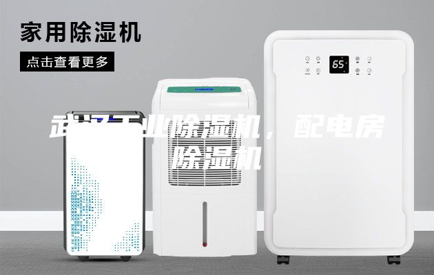 武漢工業(yè)除濕機，配電房除濕機