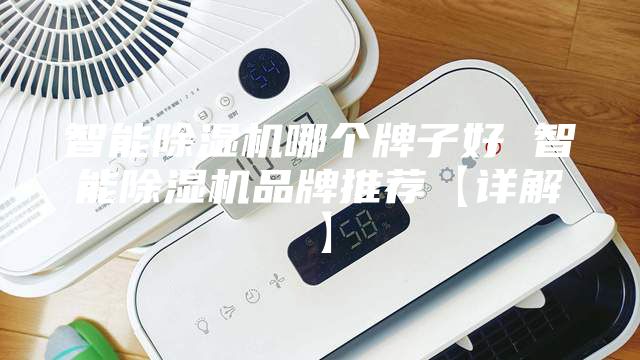 智能除濕機(jī)哪個(gè)牌子好 智能除濕機(jī)品牌推薦【詳解】