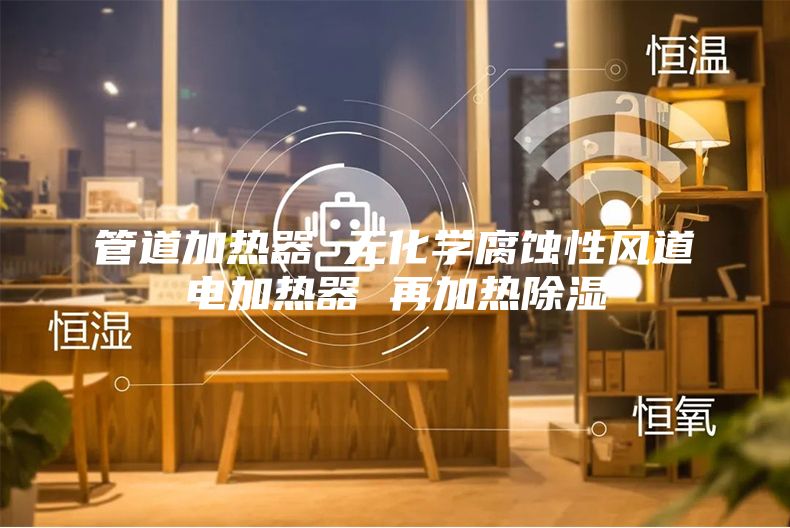 管道加熱器 無化學(xué)腐蝕性風(fēng)道電加熱器 再加熱除濕