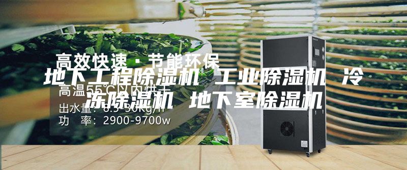 地下工程除濕機(jī) 工業(yè)除濕機(jī) 冷凍除濕機(jī) 地下室除濕機(jī)