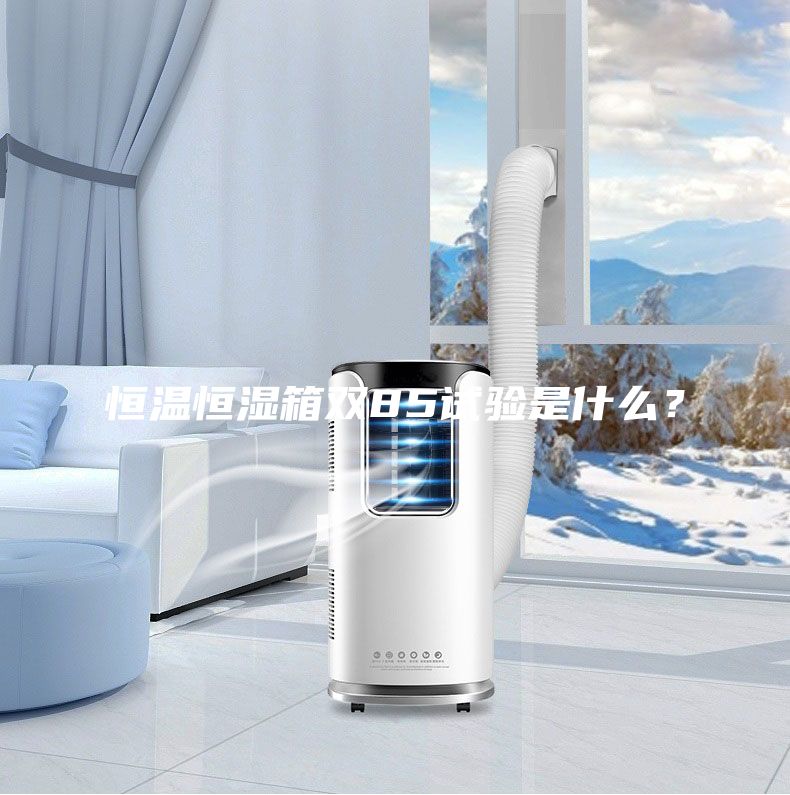 恒溫恒濕箱雙85試驗是什么？