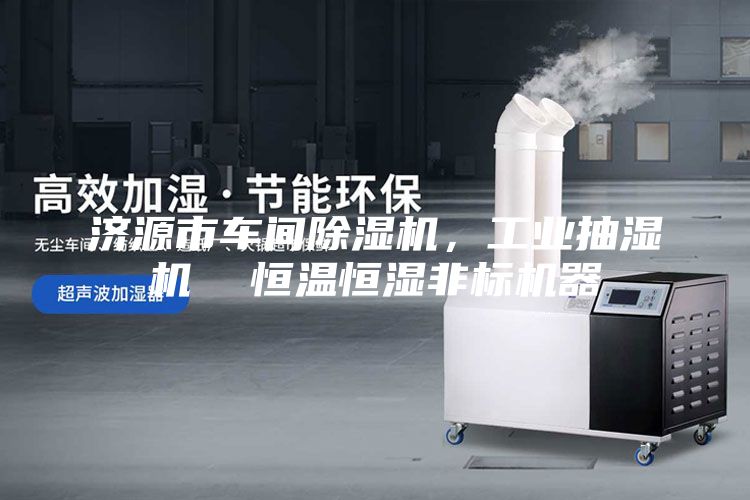 濟(jì)源市車間除濕機(jī)，工業(yè)抽濕機(jī)  恒溫恒濕非標(biāo)機(jī)器