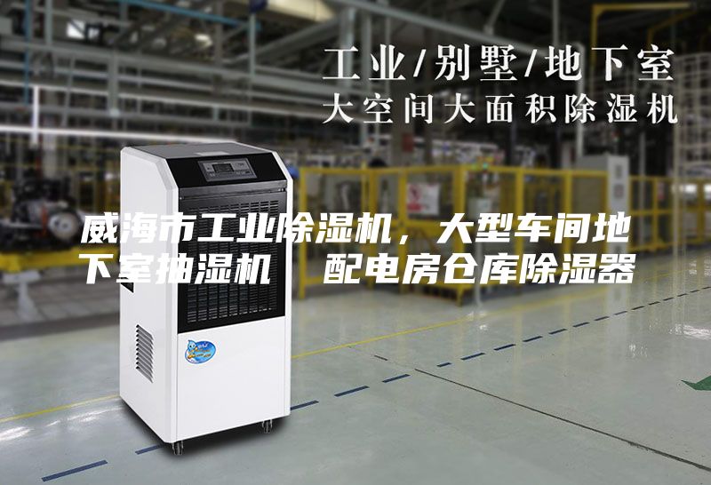 威海市工業(yè)除濕機(jī),大型車間地下室抽濕機(jī) 配電房倉(cāng)庫(kù)除濕器