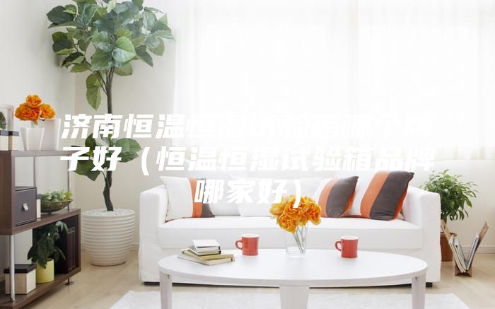 濟(jì)南恒溫恒濕試驗(yàn)箱哪個(gè)牌子好(恒溫恒濕試驗(yàn)箱品牌哪家好)