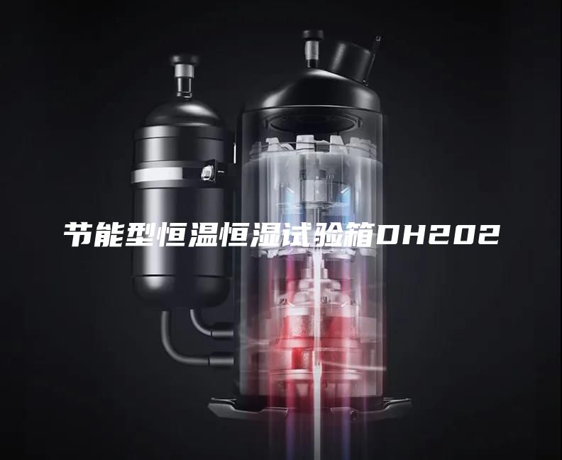 節(jié)能型恒溫恒濕試驗箱DH202