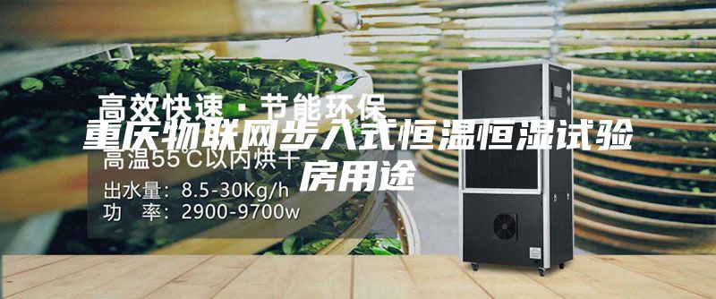 重慶物聯(lián)網(wǎng)步入式恒溫恒濕試驗(yàn)房用途