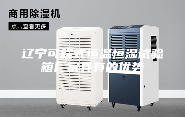 遼寧可程式恒溫恒濕試驗(yàn)箱廠家具有的優(yōu)勢