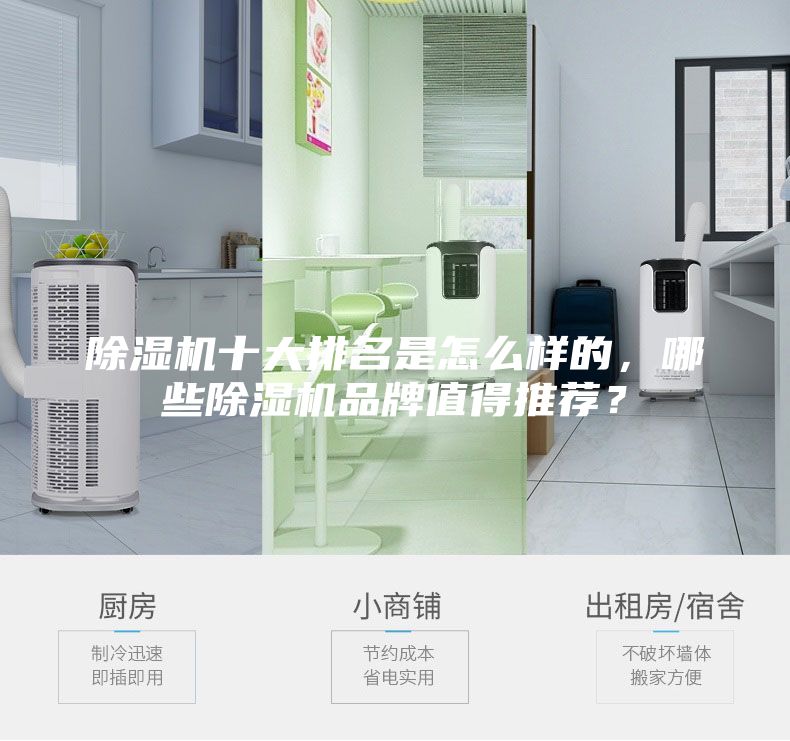 除濕機十大排名是怎么樣的，哪些除濕機品牌值得推薦？