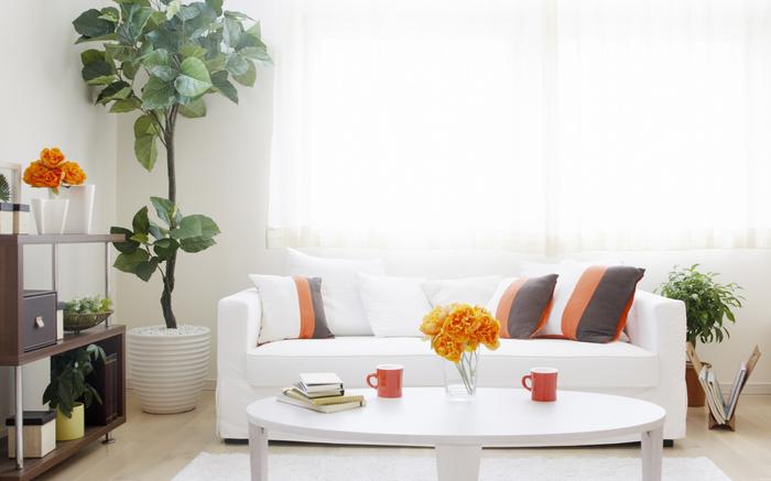 除濕機和空氣凈化器有什么不同？教你如何選擇這兩者！