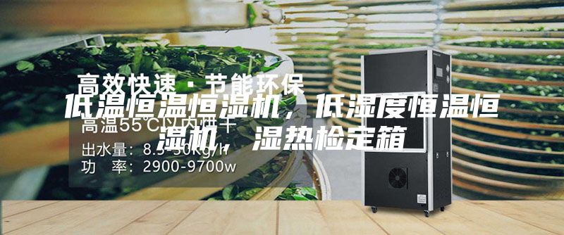 低溫恒溫恒濕機(jī)，低濕度恒溫恒濕機(jī)，濕熱檢定箱