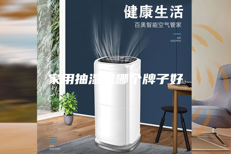 家用抽濕機(jī)哪個(gè)牌子好