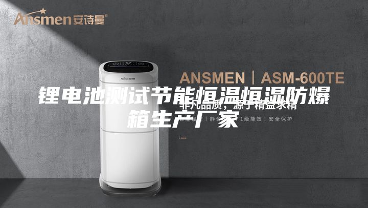 鋰電池測(cè)試節(jié)能恒溫恒濕防爆箱生產(chǎn)廠家