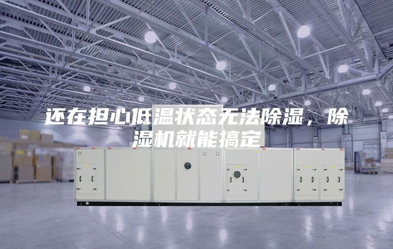 還在擔(dān)心低溫狀態(tài)無(wú)法除濕，除濕機(jī)就能搞定