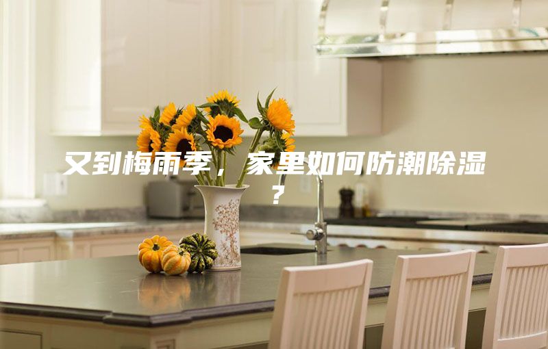 又到梅雨季，家里如何防潮除濕？