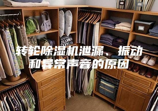 轉(zhuǎn)輪除濕機泄漏、振動和異常聲音的原因