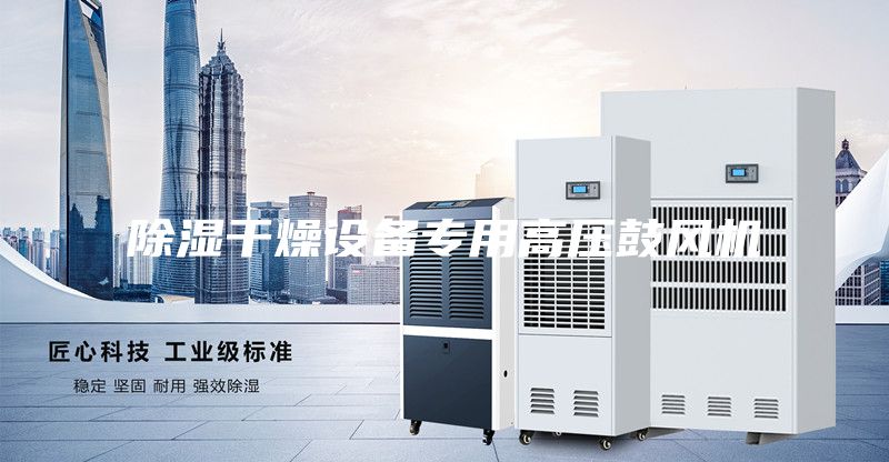 除濕干燥設(shè)備專用高壓鼓風機