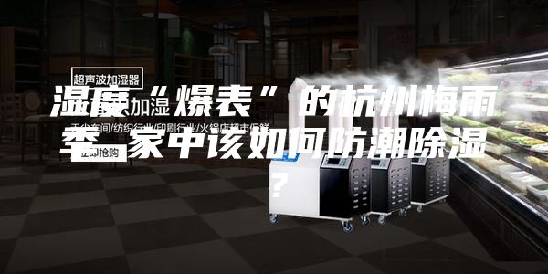 濕度“爆表”的杭州梅雨季 家中該如何防潮除濕？