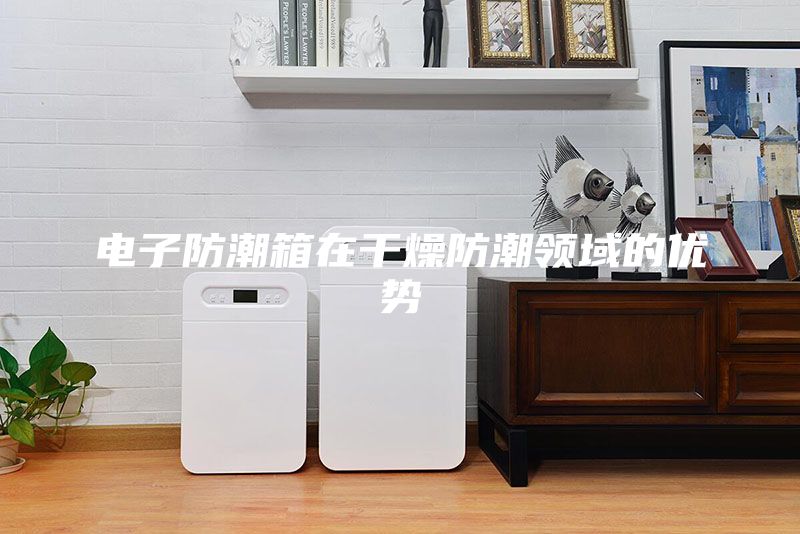 電子防潮箱在干燥防潮領域的優(yōu)勢