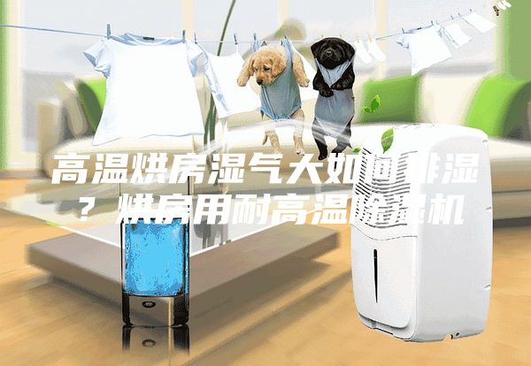 高溫烘房濕氣大如何排濕？烘房用耐高溫除濕機(jī)