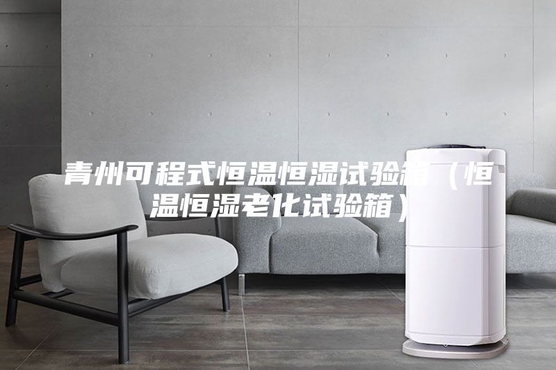 青州可程式恒溫恒濕試驗(yàn)箱(恒溫恒濕老化試驗(yàn)箱)
