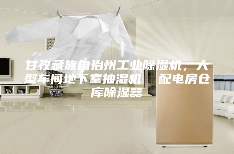 甘孜藏族自治州工業(yè)除濕機(jī)，大型車(chē)間地下室抽濕機(jī)  配電房倉(cāng)庫(kù)除濕器