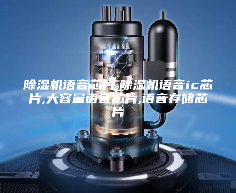 除濕機(jī)語(yǔ)音芯片,除濕機(jī)語(yǔ)音ic芯片,大容量語(yǔ)音芯片,語(yǔ)音存儲(chǔ)芯片