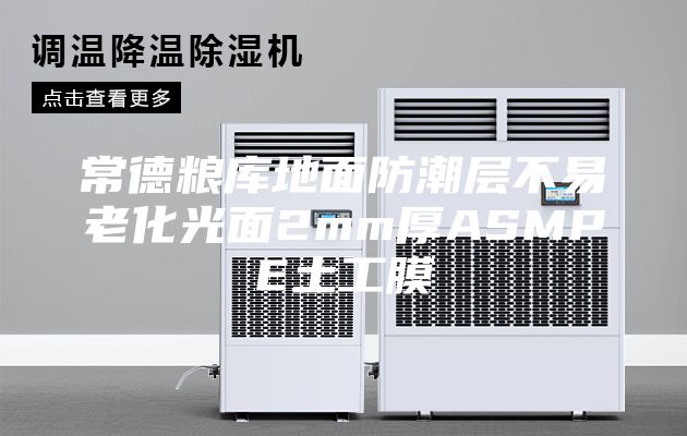 常德糧庫地面防潮層不易老化光面2mm厚ASMPE土工膜