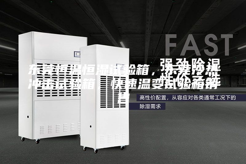 東莞恒溫恒濕試驗箱，東莞冷熱沖擊試驗箱，快速溫變試驗箱銷售