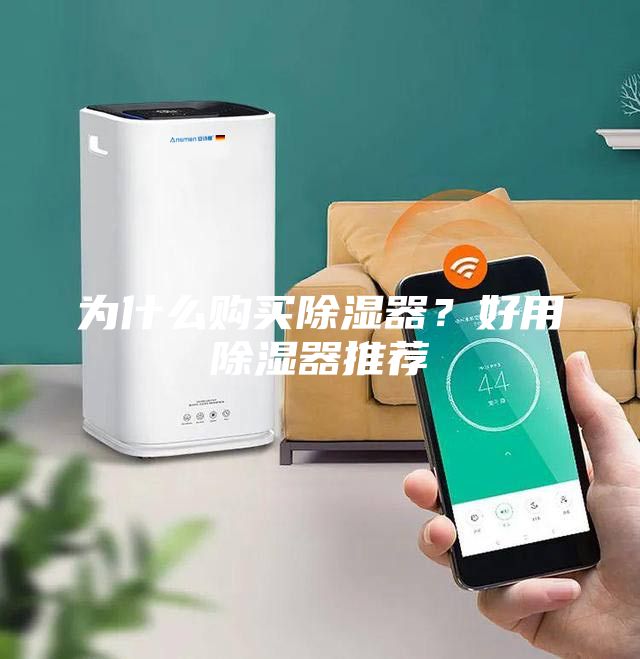 為什么購買除濕器？好用除濕器推薦