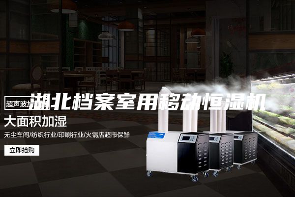 湖北檔案室用移動(dòng)恒濕機(jī)