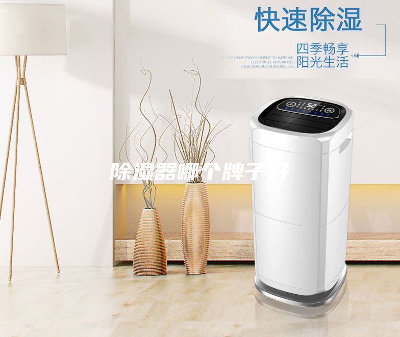 除濕器哪個(gè)牌子好