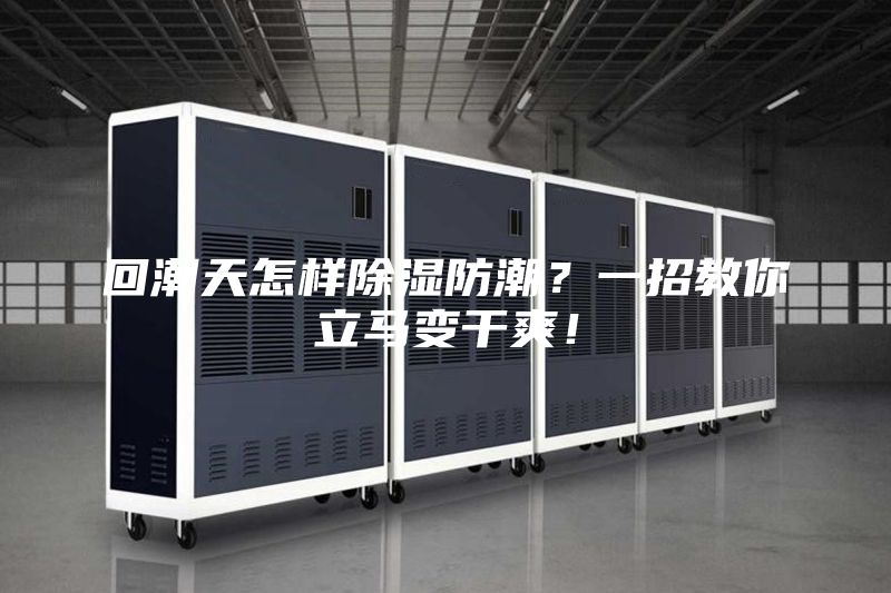 回潮天怎樣除濕防潮？一招教你立馬變干爽！