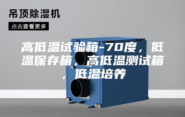 高低溫試驗箱-70度，低溫保存箱，高低溫測試箱，低溫培養(yǎng)
