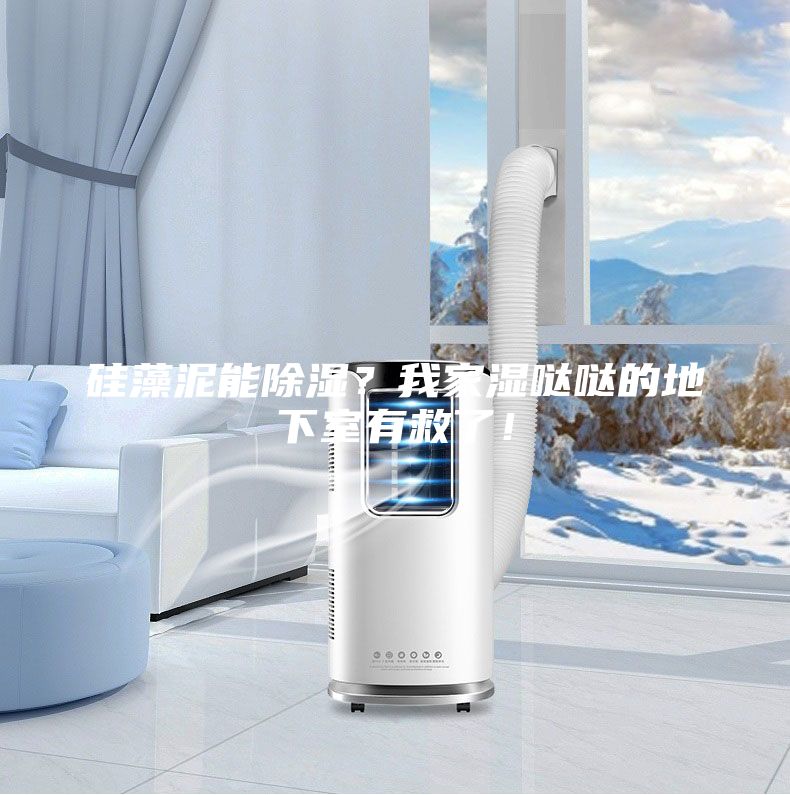 硅藻泥能除濕？我家濕噠噠的地下室有救了！