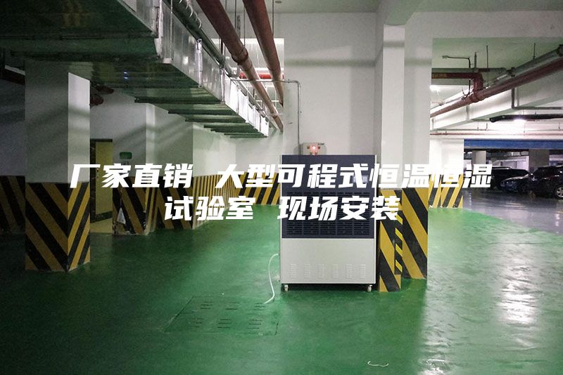 廠家直銷 大型可程式恒溫恒濕試驗(yàn)室 現(xiàn)場(chǎng)安裝